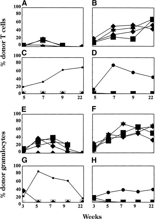 Fig. 2. T-cell (A-D) and granulocyte (E-H) chimerism in peripheral blood. / Donor representation among various hematopoietic lineages was determined at multiple time points after BMT by FACS. Each line represents 1 animal. Results from 1 of 2 similar experiments are shown. All mice received TCD mAbs on day −5, 3 Gy WBI (day 0), and 15 × 106 BMCs (day 0). Animals in Group B from Table 1 (n = 4; panels A and E) received no additional treatment. Group C (n = 5; panels B and F) received pretreatment with CYA from day −15 to day −3; Group D (n = 5; panels C and G) received 1 dose of corticosteroids on day 0; and Group E (n = 4; panels D and H) received pretreatment with CYA from day −15 to day −3 and 1 dose of corticosteroids on day 0.