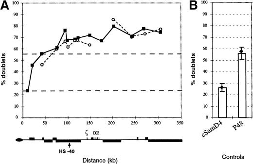 Fig. 7. The pattern of replication along the −ZFchromosome. / (A) Replication of the human 16p region was assayed by FISH as set out in Smith and Higgs4 using a set of 12 cosmids spanning this region. The pattern in an interspecific hybrid containing a normal copy of chromosome 16 (closed boxes) is compared with a hybrid containing the α−ZF chromosome (open circles). In the α−ZF chromosome, there is no value for Cos 12 (midpoint at approximate coordinate 177 000) because this region is deleted. Black dashed lines indicate the mean percent doublet scores for the early replicating control cosmids (top line) and late replicating control cosmids (bottom line). Below, the key features of the 16p region are shown. (B) Replication timing of control cosmids. The mean value for all early (p48) and late (cSamD4) mouse controls4 are represented as columns. Values for controls measured in the hybrid containing the α−ZFchromosome are shown as a black diamond with lines representing plus or minus 1 SD.