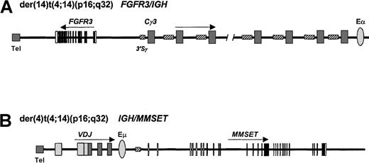 Fig. 2. t(4;14)(p16;q32) translocation in myeloma. / Derivative chromosomes 4 and 14 of myeloma. IGH breaks in this malignancy are usually found within the S regions. (A)FGFR3 expression is driven by the centromeric IGHtranscriptional enhancer (Eα) on the der(14), whileMMSET expression (B) is driven by the intronic enhancer (Eμ) on the der(4). Tel indicates telomere.