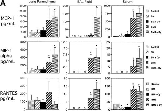 Fig. 1. Expression of CC chemokines in lung parenchyma, BAL fluid, and serum on day 7 postallogeneic BMT as assessed by ELISA. / B10.BR recipient mice were preconditioned with TBI (7.5 Gy, day −1) with or without Cy (120 mg/kg per day, days −3, −2) as indicated and given C57BL/6 BM without (BM) or with 15 × 106 spleen cells (BMS) on the day of BMT (day 0). Lung protein extracts were obtained after exsanguination and BAL. (A ) Expression of MCP-1, MIP-1α, and RANTES. (B) Expression of eotaxin, MIP-1β, and C10. Mean values ± SD are indicated for 12 mice per group pooled from 2 experiments (except for RANTES and MIP-1β, n = 6 per group). *P < .05 vs control unmanipulated B10.BR mice; > 106 means all samples measured off-scale in the assay.