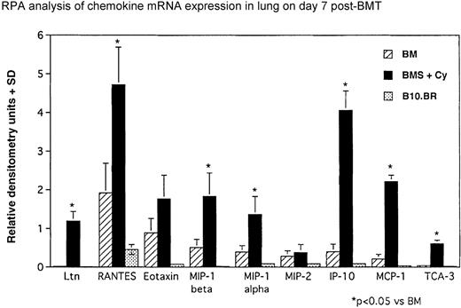 Fig. 3. IPS is associated with elevations in chemokines known to chemoattract monocytes and T cells. / Densitometry readings of RPA blots are shown. T-cell–dependent increases for Ltn, MIP-1α, MIP-1β, RANTES, IP-10, MCP-1, and TCA-3 were significantly elevated in mice receiving allogeneic splenocytes. Data (densitometry readings) are normalized to L32 mRNA levels and expressed as mean chemokine/L32 ± SD (n = 3 per group). *P < .05 vs control unmanipulated B10.BR control mice.
