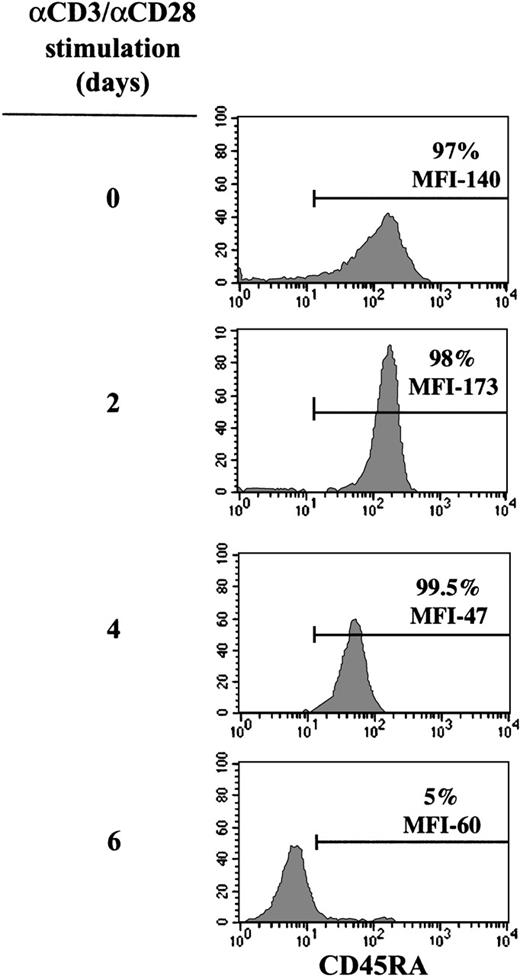 Fig. 1. Evolution of CD45RA expression in CD3/CD28-stimulated UC T cells. / Cell surface expression of CD45RA on purified UC T cells was monitored using a PE-conjugated anti-CD45RA monoclonal antibody following 0, 2, 4, and 6 days of mitogen stimulation with immobilized anti-CD3 and anti-CD28 monoclonal antibodies. The percentage of CD45RA+cells and the mean fluorescence intensity (MFI), indicative of the level of expression, are indicated. Results are representative of data obtained with 10 different donors.