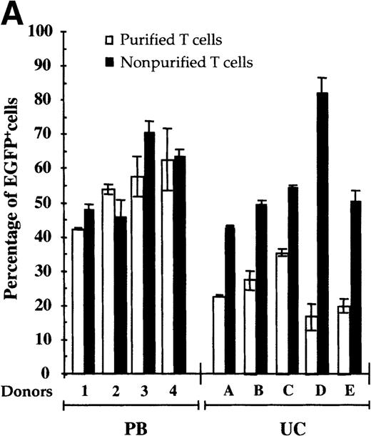 Fig. 2. Autologous accessory cells enhance retroviral-mediated gene transfer into naive UC T cells. / Mononuclear cells from UC blood and PB were obtained by Ficoll-Hypaque density centrifugation. To obtain a highly purified T-cell population devoid of accessory cells such as monocytes, T cells were positively selected using an anti-CD3 antibody conjugated to magnetic beads (Dynabeads). These purified T cells or nonpurified T-lymphocyte populations were then stimulated for 2 days with immobilized anti-CD3 and anti-CD28 antibodies and exposed twice to LZRS-EGFP retrovirus on fibronectin-coated plates. (A) Transduction efficiency of purified and nonpurified PB and UC T cells derived from individual donors. All transductions were performed in duplicate on fibronectin-coated plates and the mean percentage of EGFP-expressing cells was monitored 48 hours after transduction. (B) The presence of the LZRS-EGFP provirus in the EGFP− and EGFP+ UC and PB CD3+ subsets was monitored by Southern blot. CD3+ cells were purified by Dynal selection and transduced as described above. EGFP− and EGFP+populations were FACS sorted, genomic DNA was isolated, digested withXbaI, and hybridized with the 1.3-kb EGFP probe. The PG13/LZRS-EGFP producer clone was used as a positive control. The 1.7-kb fragment encompassing EGFP and the 3′LTR is indicated. (C) FACS profile of nontransduced and transduced UC T cells. The percentage of EGFP+ cells as well as the level of EGFP expression (MFI) is indicated. (D) Relative gene transfer in UC T cells following purification by either a positive (Dynal) or negative selection method (Stemsep) is compared to that obtained in a nonpurified T-cell population. The mean ± SD of EGFP+ cells in 2 to 5 independent experiments is shown.