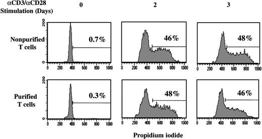 Fig. 4. Cell cycle entry of UC T cells is not affected by the purification process. / Nonpurified or purified UC T cells (Dynal) were stimulated with immobilized anti-CD3 and anti-CD28 antibodies. Cell cycle entry was monitored at 0, 2, and 3 days by assessing DNA content of PI-stained cells on a FACScan cytometer. The percentage of cells in the S and G2/M phases of the cell cycle are indicated and results are representative of data obtained in 1 of 5 representative experiments.