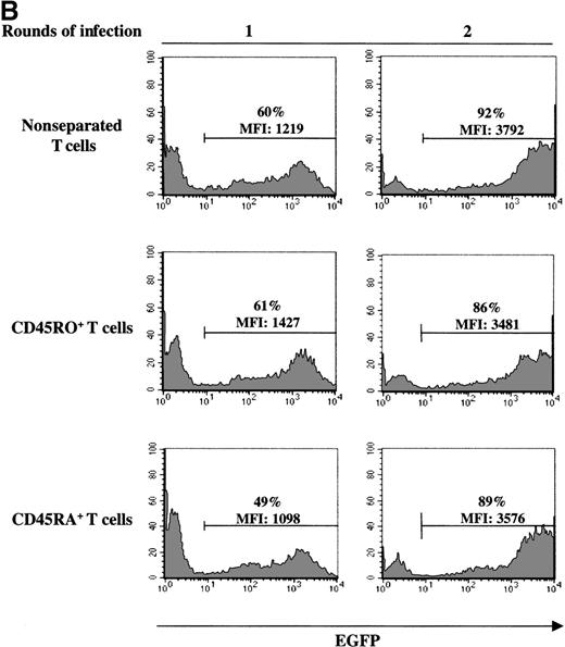 Fig. 5. Decreased levels of gene transfer in naive PB T cells can be overcome by increasing the number of exposures to retroviral supernatant. / (A) CD45RA and CD45RO expression on freshly purified adult PB T cells was monitored by FACS analysis. The percentage of positive cells is indicated. (B) FACS-purified CD5+, CD5+/CD45RO−(RA+), and CD5+/CD45RA−(RO+) cells, stimulated for 2 days with immobilized anti-CD3 and anti-CD28 antibodies, were transduced either once or twice with LZRS-EGFP retroviral supernatants on fibronectin-coated plates. The T cells used in the 2 experiments presented here were isolated from different donors. The percentage of EGFP+ cells and the level of EGFP expression (MFI) are indicated.