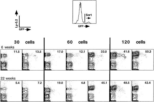 Fig. 1. Competitive repopulation assay using GFP+, Ly-5.2+ LT-HSC, and recipient whole bone marrow cells. / Increasing numbers of transduced (GFP+), donor LT-HSC (Ly-5.2+) were mixed with 2 × 105nucleated bone marrow cells of the recipient type (Ly-5.1+). The recipient cells would statistically contain 20 LT-HSC, only 2 of which would home to bone marrow and contribute to the host-derived hematopoiesis that is seen in each reconstituted animal. Numbers in the upper right quadrant of each FACS plot represent the percentage of donor cells in peripheral blood of the recipient animal.