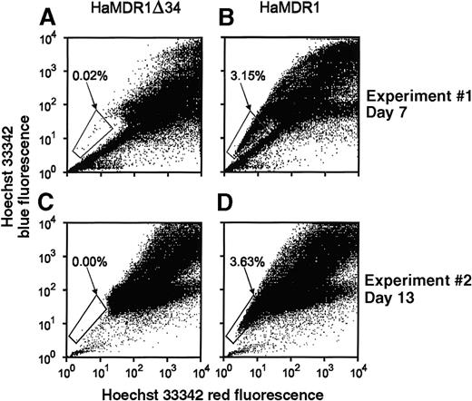 Fig. 7. Quantitation of SP cell expansion in cultures of cells transduced with the HaMDR1▵34 vector. / BM cells were transduced with either the HaMDR1Δ34 (A, C) or the HaMDR1 vector (B, D) and then were expanded in suspension cultures for the indicated time periods. (A, B) SP cell analyses performed after 7 days of expansion. (C, D) A second independent experiment analyzed after 13 days of culture. The percentage of cells in the SP cell gate is indicated in each panel. In experiment 2, propidium iodide was added before flow cytometry analysis to exclude dead cells from the initial gated population.