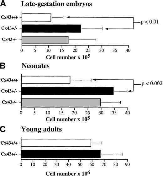 Fig. 2. Thymus cellularity. / (A) Late gestation Cx43+/+ (n = 4), CX43+/− (n = 12), and Cx43−/− (n = 6) mice. (B) Neonatal Cx43+/+ (n = 6), Cx43+/− (n = 5), and Cx43−/− (n = 3) mice. (C) Young adult Cx43+/+ (n = 4) and Cx43+/− (n = 4) mice. The level of statistical significance between different groups of mice is indicated.