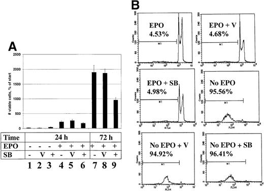 Fig. 4. Inhibition of p38 activity inhibits proliferation but not induction of apoptosis in HCD57(K) cells. / (A) Proliferative response of HCD57 cells to EPO and SB203580. HCD57(K) cells were washed and treated with no additional growth factor (columns 1-3) or EPO (columns 4-9) in the presence of DMSO vehicle (V, columns 2, 5, and 8), or 20 μmol/L SB203580 (SB) (columns 3,6, and 9) for 24 hours (columns 1-6) or 72 hours (columns 7-9). Data are indicated as the number of cells as a percentage of the starting number of cells. In this experiment, nonviable cells were 5% or less. (B) Cells incubated 24 hours in the presence or absence of EPO or inhibitor as indicated were stained with propidium iodide as indicated in “Materials and methods” and analyzed by using flow cytometry. The number of apoptotic cells is indicated as a percentage of the total number of cells containing sub-G0/G1 DNA and is indicated as M1 on plots.