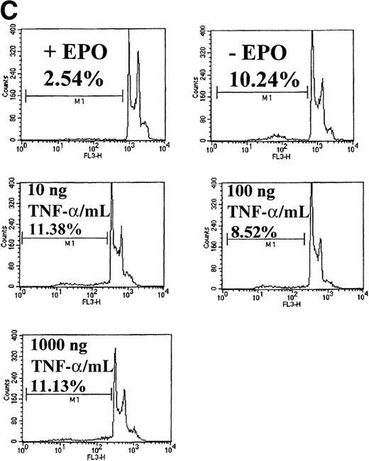Fig. 5. TNF- induces JNK activation but does not induce apoptosis in HCD57 cells. / (A) HCD57(R) cells were deprived of EPO for 18 hours and then treated with 10 ng TNF-α/mL for the times indicated. Whole cell lysates were immunoblotted with an anti-phospho-JNK antibody (upper panel, arrows). The blot was then stripped and reprobed with anti-JNK1 to ensure equal loading of proteins (lower panel, arrow). (B) HCD57 cells were deprived of EPO for 18 hours and then treated with no additional growth factor (lane 1), 1 U EPO/mL (lane 2), 10 ng SCF/mL (lane 3), or 10 ng TNF-α/mL (lane 4) for 24 hours. Whole cell lysates were immunoblotted with an anti-phospho-JNK antibody (upper panel, arrows). The blot was then stripped and reprobed with anti-JNK1 to ensure equal loading of proteins (lower panel, arrow). (C) HCD57 cells were deprived of EPO for 18 hours and then treated with 1 U EPO/mL (+EPO); no additional growth factor (No EPO); or 10 ng, 100 ng, or 1000 ng TNF-α/mL for 24 hours. Cells were stained with propidium iodide as indicated in “Materials and methods” and analyzed by using flow cytometry. The number of apoptotic cells is indicated as a percentage of the total number of cells containing sub-G0/G1DNA and is indicated as M1 on plots.