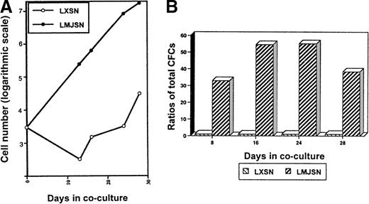 Fig. 7. Survival and proliferation of Lin−c-kit+ hematopoietic progenitors in Rab-9 cocultures. / (A) Growth curves of nonadherent hematopoietic cells in Rab-9 cocultures. This experiment is similar to that described in Figure 6except that Lin− c-kit+ cells (3000 per well) were used. Cell numbers have been corrected for subculture ratios and represent means of duplicate measurements. Open circle, LXSN; filled circle, LMJSN. (B) Results of colony assays performed on nonadherent cells harvested from the cocultures on day 8, 16, 24, and 28. Cells were plated in methylcellulose culture medium supplemented with SCF, IL-3, and GM-CSF. Data are expressed as the ratios of total CFCs (HPP-CFC, CFU-GM, CFU-G, and CFU-M combined) recovered from Rab-9/LMJSN cocultures to those recovered from Rab-9/LXSN cocultures. At each assay point, the total number of CFC recovered from Rab-9/LXSN coculture is treated as 1. Results are means of triplicates.