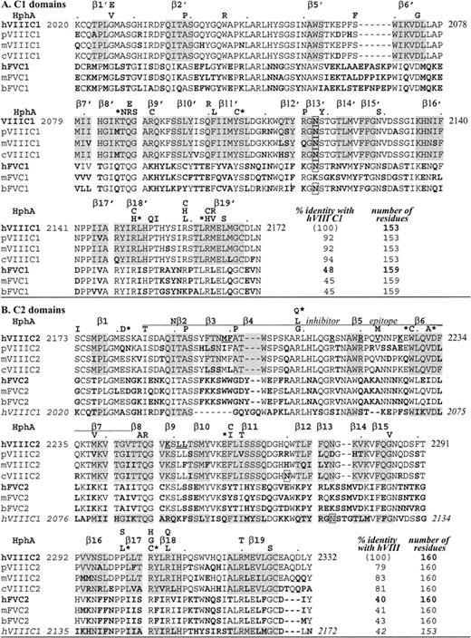 Fig. 1. Alignment of C domain sequences. / Amino acids are aligned by CLUSTAL W 1.7, GenomeNet. Factor VIII (VIII) sequences are as indicated for different species: human (h),1 porcine (p),19 murine (m),18canine (c)20; factor V(V) sequences are: human (h),1734 murine (m),35 bovine (b).36 Bold residues indicate differences from human factor VIII, underlined are C2 residues that may bind to phospholipids, and boxes indicate a potential Asn-linked carbohydrate. HphA (above each human factor VIII sequence row) indicates hemophilic mutations; an asterisk is for those associated with an inhibitor (see Table 3). Shading is for β-strands in the human C2 crystal structure.22 In panel A, C1 homologous sequences are shown and β-strands are distinguished from those in C2 with a prime, with no β3′ nor β4′ (see Figure 2). In panel B, C2 homologous sequences are shown including a C2 inhibitor epitope as defined by Healey et al.13 Note that exact residues at the ends of β-strands are subject to interpretation as they often end within a residue (coordinates are available; see Acknowledgments).