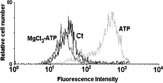 Fig. 5. Treatment of DCs with MgCl2 completely blocks the ATP-induced permeabilization. / DCs were incubated in the presence of 10 μmol/L ethidium bromide and 5 mmol/L MgCl2 before the application of 5 mmol/L ATP. The histogram represents the fluorescence intensity of control DCs (Ct) incubated with ethidium bromide alone, those treated with ATP in the presence of ethidium bromide (ATP), and those subjected to 5 mmol/L ATP in the presence of ethidium bromide plus 5 mmol/L MgCl2(MgCl2-ATP).