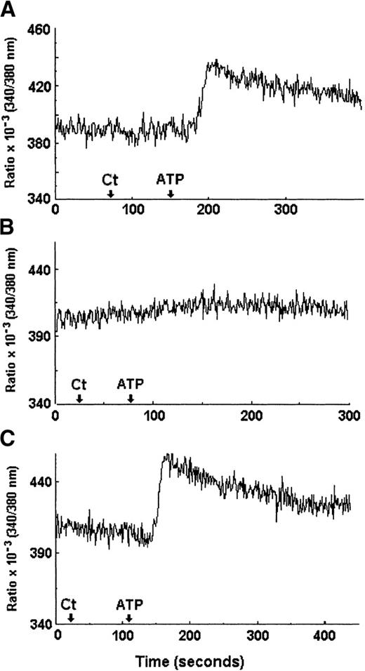 Fig. 10. Intracellular calcium increase induced by ATP treatment. / DCs previously loaded with 6 μmol/L FURA2-AM and treated with 2.5 mmol/L probenecid were tested in perfusion with either standard saline (including 1 mmol/L CaCl2) (A,C) or calcium-free saline (including 1 mmol/L EGTA) (B). The arrows indicate the application of control saline alone (Ct) or 5 mmol/L ATP (ATP). Intracellular calcium changes were detected by monitoring the variation of the ratio obtained from emission at 510 nm elicited under 340-nm and 380-nm excitation wavelengths. These measurements are representative of 3 separate experiments and were obtained from the same cellular microscopic field.