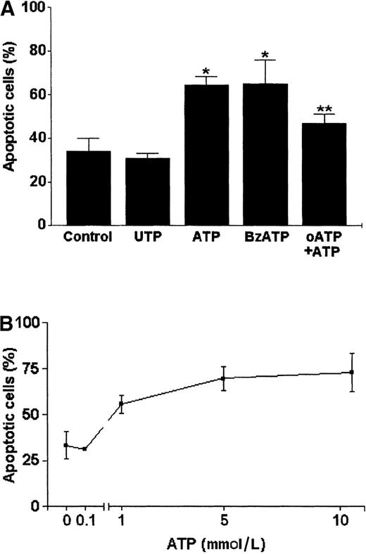 Fig. 13. P2ZP2X7 activation-dependent apoptosis of DCs. / (A) DCs were incubated with UTP, BzATP, or ATP (all at 5 mmol/L) for 30 minutes at 37°C; washed twice with PBS/BSA; and incubated additionally for 6 hours in complete RPMI 1640 medium. Alternatively, DCs were incubated with 500 μmol/L of the P2Z/P2X7 antagonist, oATP, for 2 hours before ATP (5 mmol/L) treatment. The DCs treated with oATP plus ATP (oATP + ATP) were compared with the control untreated DCs (Control) and with those treated with ATP alone (5 mmol/L). Data are based on at least 3 independent experiments. The results (mean ± SD) were compared with Student t test. *Data from DCs treated with ATP or BzATP were significantly different from control (P < .001); **data from ATP-treated DCs submitted to oATP inhibition were significantly different from ATP-treated DCs (P < .001). (B) Dose-response curve of ATP-induced apoptosis. Apoptosis was ascertained by the TUNEL technique and flow cytometry. Data are based on 3 independent experiments (mean ± SD).