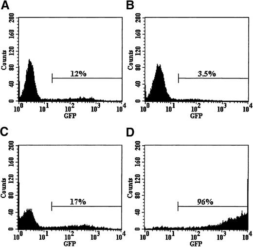 Fig. 1. Transduction of umbilical cord blood CD34+ cells with pseudotyped retroviral vector particles. / Cells were prestimulated for 24 hours in serum-free medium containing high-dose cytokines before a single exposure to viral supernatant on retronectin-coated plates. Cells were then expanded for a total of 96 hours in vitro and analyzed for EGFP expression. Cells transduced with retroviral particles pseudotyped with the amphotropic (A), GALV (B), or VSV-G (C) envelope proteins failed to significantly transduce the bulk CD34+ population at the low MOI of 5 used. However, retroviral particles pseudotyped with the RD114 envelope protein (D) transduced the target cell population at a high efficiency. Pseudotransduction was also ruled out by pretreating CD34+cells with 50 nmol/L AZT 1 hour before transduction with each vector. EGFP expression in all cases was less than 1% (data not shown). These results demonstrate that in this cell population, the major barrier to gene transfer is at the receptor level and is not due to the quiescence of the target cell.