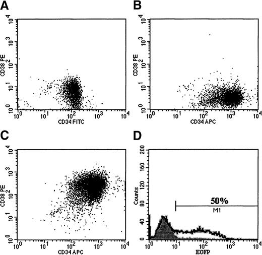 Fig. 3. The effect of conditioned medium from the RD114/MGirL22Y producer cells on the immunophenotype of purified cord blood CD34+, CD38− cells. / FACS profiles are shown for the following: (A) purified CD34+, CD38− cells before culture; (B) CD34+, CD38− cells after 96 hours of culture in serum-free medium without addition of vector particles; (C) CD34+, CD38− cells after 96 hours in medium containing RD114-pseudotyped vector particles; and (D) population of cells shown in panel C analyzed for EGFP expression.