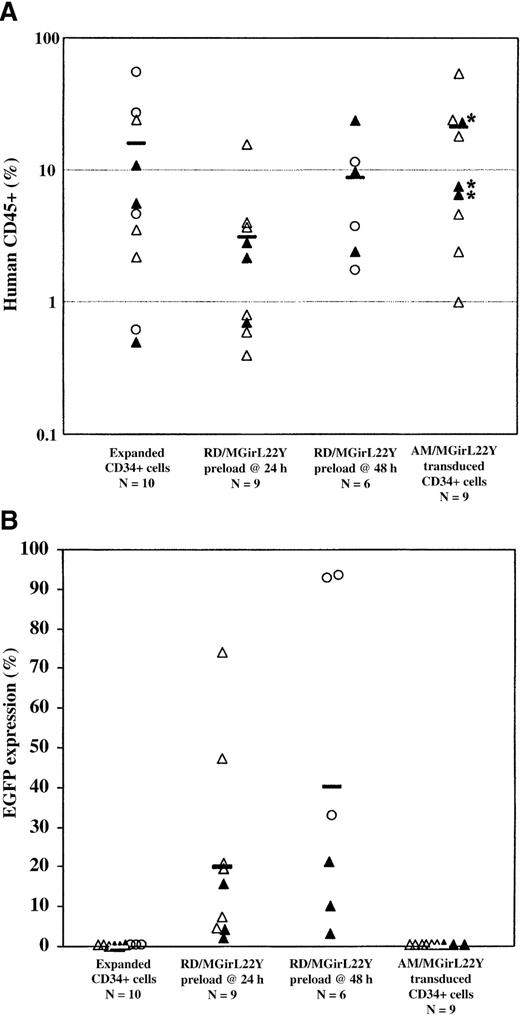 Fig. 6. Analysis of human CD45+engraftment and EGFP expression in human hematopoietic cells in NOD/SCID mice. / Transduction efficiency of SCID repopulating cells (SRCs) by a single exposure of cord blood CD34+ cells to RD114-pseudotyped vector particles preloaded on retronectin after only 24 hours or 48 hours of preactivation was assessed over a series of experiments (Experiment 1, open triangles; Experiment 2, closed triangles; Experiment 3, open circles). Cells were cultured for a total of 96 hours before injection into recipient animals. After 8 weeks in vivo, the animals were killed and analyzed for human engraftment (greater than 0.5%) based on CD45+ expression (A) and functional marking based on EGFP expression (B). The number (N) of animals in each group is indicated. Engraftment was notably decreased in animals that received CD34+ cells transduced at 24 hours in vitro with RD114/MGirL22Y vectors, but this effect was not as significant in animals that received cells transduced at 48 hours. Remarkably, all animals that received RD114/MGirL22Y-transduced CD34+ cells engrafted with EGFP+ cells. Indeed, the best engrafted animals also had the highest level of EGFP+ cells. Control animals that received untransduced cells or cells either transduced by preloaded am/MGirL22Y vectors alone (*) or transduced by preloaded am/MGirL22Y particles at 24 hours, followed by exposure to viral supernatant at 48 hours and 72 hours, engrafted only with unmarked human cells (despite the presence of 10% serum in the conditioned medium).