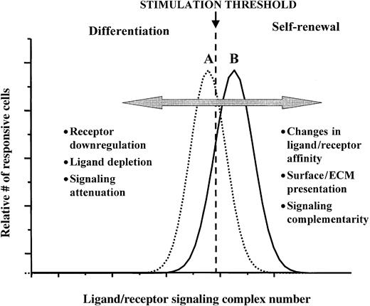 Fig. 2. A ligand-receptor signaling threshold (LIST) model of stem cell differentiation control. / Examples of different mechanisms by which proliferating cells can move from a net loss in the numbers of undifferentiated cells (scenario A), to a net gain of undifferentiated cells (scenario B), as well as the reverse of this process, are listed. See text for further discussion.