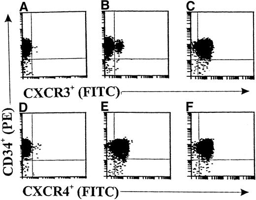 Fig. 1. Double-color flow cytometric analysis of the distribution and modulation of CXC chemokine receptor (CXCR) 3 or CXCR4 on CD34+ hematopoietic progenitors. / The CD34+ cells were either freshly isolated (A, B, D, and E) or stimulated with granulocyte-macrophage colony-stimulating factor (GM-CSF) for 36 hours (C and F). Panels A and D show results with isotype controls. The data are from a single experiment representative of 4 similar experiments performed.