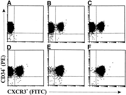 Fig. 2. Double-color flow cytometric analysis of the kinetics of CXCR3 expression on human cord blood CD34+ hematopoietic progenitors. / The cells were either freshly isolated (A) or stimulated with GM-CSF (10 ng/mL) for 6 hours (B), 16 hours (C), 24 hours (D), 36 hours (E), or 48 hours (F). The cells were then stained with fluorescein isothiocyanate, conjugated (FITC)–labeled anti-CXCR3 monoclonal antibody (mAb). The data are from a single experiment representative of 2 similar experiments performed.