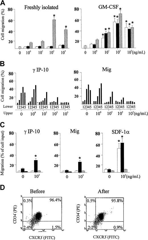 Fig. 4. Assessments of migration of CD34+hematopoietic progenitors. / (A) Migration of freshly isolated (left) and GM-CSF–stimulated (right) CD34+ hematopoietic progenitors toward interferon (IFN) γ–inducible protein 10 (γIP-10) (open bars), monokine induced by IFN-γ (Mig) (black bars), and chemokine stromal cell-derived factor 1α (SDF-1α) (gray bars). All results are expressed as the mean ± SD percentage of input cells that migrated (n = 5) and are based on triplicate determinations of chemotaxis for each concentration of chemokines. An asterisk indicates a significant difference from the medium control (P < .03, except in one case, in whichP < .04). (B) Checkerboard analysis for GM-CSF–stimulated CD34+ hematopoietic progenitors toward γIP-10 (right) and Mig (right). Chemokines were applied in the upper chamber, the lower chamber, or both. The concentrations of chemokines applied in the lower chambers were 0, 1, 10, 100, and 1000 ng/mL (indicated as 1, 2, 3, 4, and 5, respectively). The data are from one representative experiment of 2 performed. (C) Specific chemotactic activity of γIP-10 (right), Mig (middle), and SDF-1α (right) for subtypes of colony-forming, GM-CSF–stimulated CD34+hematopoietic progenitors from cord blood. CD34+ cells attracted to different chemokines at the indicated concentrations were assayed for colony-forming cells and the results expressed as the mean ± SD percentage of input cells that migrated (n = 3). Open bars, black bars, and gray bars indicate burst-forming units–erythroid, colony-forming units–granulocyte-macrophage, and colony-forming units–granulocyte-erythroid-macrophage-megakaryocyte, respectively. An asterisk indicates a significant difference from the medium control (P < .04). (D) Flow cytometry analysis for CD34+ cells before (left) and after (right) migration toward γIP-10. The cells were dual stained; percentages indicate positive or negative cells.