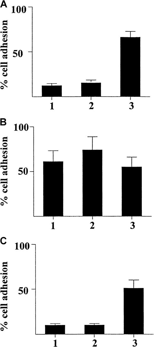 Fig. 5. Adhesion of CD34+ hematopoietic progenitors from human cord blood induced by γIP-10 (indicated by 1), Mig (2), or SDF-1α (3). / The CD34+ progenitor cells were either freshly isolated (A), stimulated with GM-CSF (B), or stimulated with GM-CSF and incubated with anti-CXCR3 mAb (C). The cells were either freshly isolated from cord blood from a normal birth, preincubated with GM-CSF for 36 hours only, or preincubated with GM-CSF and then incubated with CXCR3 mAb (5 μg/mL) for 60 minutes at room temperature before the adhesion assay. All chemokines were applied at a concentration of 100 ng/mL. The data represent mean values from at least 3 experiments performed. Results are expressed as the mean ± SD percentage of adherent cells and are based on triplicate determinations of adhesion for each chemokine used.
