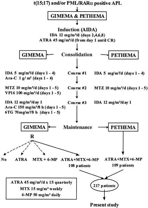 Fig. 1. Treatment schedule in the GIMEMA and PETHEMA protocols.