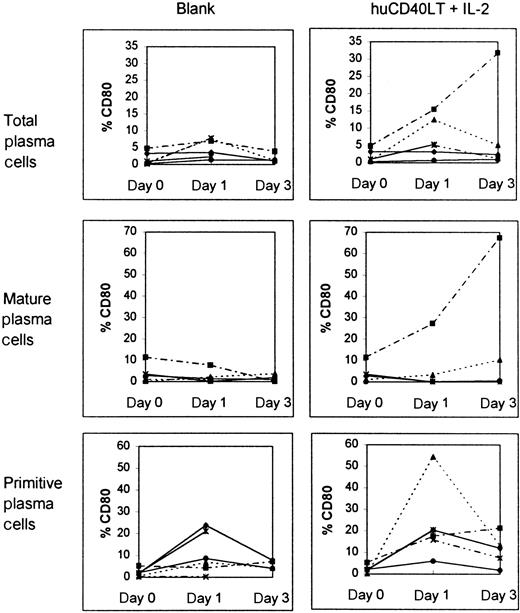 Fig. 6. Effect of culture with and without IL-2 and huCD40LT on CD80 expression in various cells. / Expression was tested in bone marrow plasma cells as well as mature and primitive plasma cells from patients with myeloma (n = 6). Each line depicts data from a different patient.