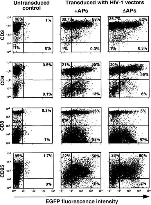 Fig. 2. Efficient gene transfer and transgene expression by HIV-1 vectors in activated human lymphocyte subsets. / Transduction of PHA/rhIL-2–stimulated lymphocytes was carried out as described in “Materials and methods.” Relative gene transfer efficiency in T-cell subsets in the presence (+) or the absence (Δ) of APs were determined by analyzing the number of EGFP positive cells 5 days after transduction by FACS; cells were stained with the indicated PE-conjugated mAbs. Data shown are representative of similar data obtained from 2 independent experiments.