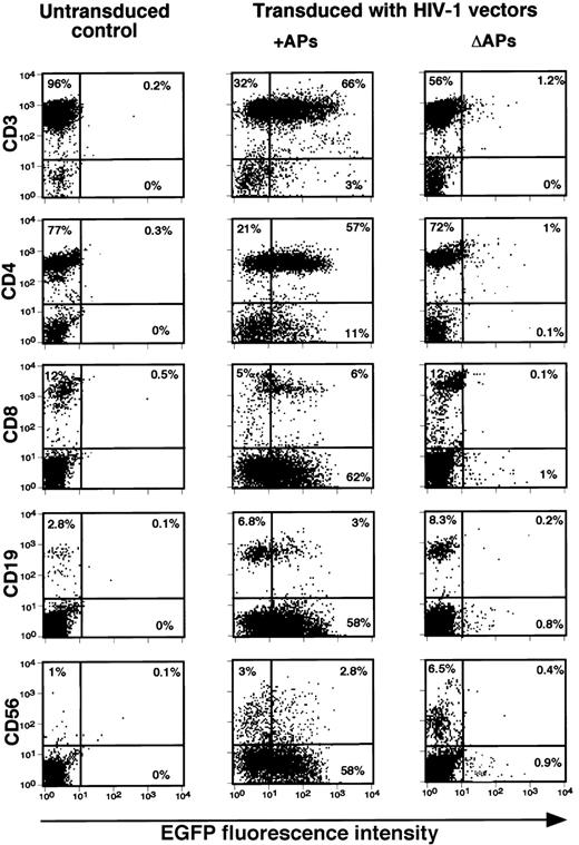 Fig. 3. HIV-1 vector-mediated gene transfer into various subsets of resting human lymphocytes. / Transduction of resting lymphocytes was carried out as described in “Materials and methods.” Relative gene transfer efficiencies of HIV-1 vectors generated in the presence (+) or the absence (Δ) of HIV-1 APs in lymphocyte subsets were determined by analyzing the number of EGFP positive cells 5 days after transduction and by staining with the indicated PE-conjugated mAbs. Data shown are from 1 of 2 independent experiments generating similar results.