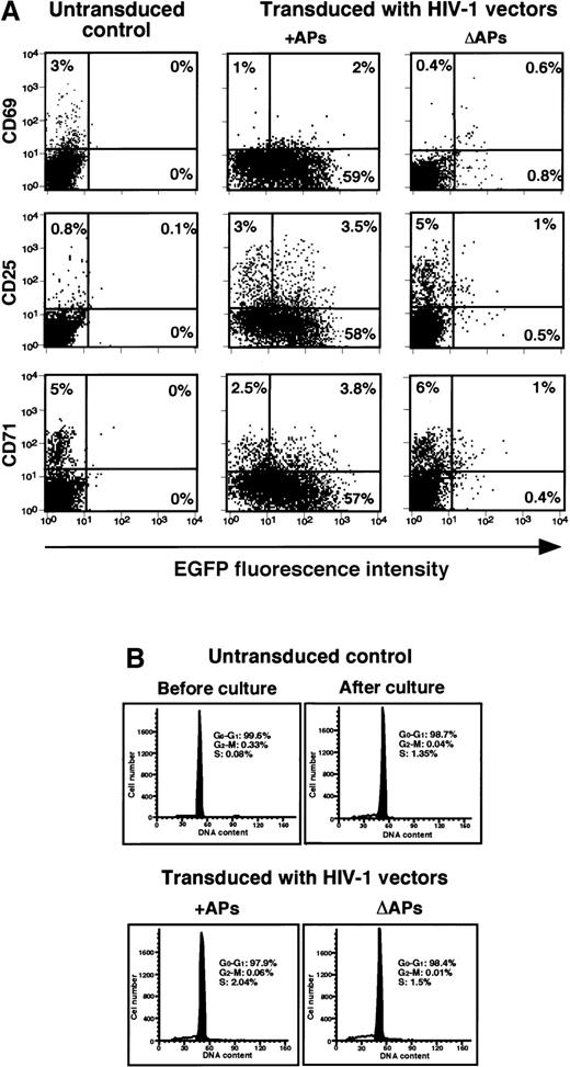 Fig. 4. HIV-1 vector-mediated transduction does not alter the activation status or cell cycle progression of resting human PBLs. / (A) Relative gene transfer efficiencies of HIV-1 vectors generated in the presence (+) or the absence (Δ) of HIV-1 APs as determined by dual analysis of EGFP and activation marker expression by FACS. Cells were analyzed 5 days after transduction. Data shown are representative of 2 independent experiments. (B) Cell cycle status of adherent cells- depleted primary human PBLs before and 5 days after transduction with HIV-1-based vectors in the presence (+) or the absence (Δ) of HIV-1 APs by PI staining and flow cytometry. Percentages of cells residing in each phase of the cell cycle are indicated.