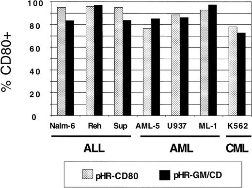 Fig. 3. CD80 expression in a panel of 7 human leukemia cell lines transduced with pHR-CD80 or pHR-GM/CD. / The percentage of CD80-positive (CD80+) cells in the fluorescence-activated cell-sorter analysis was calculated by subtracting the frequency of the transduced cells from the background (mock-transduced) controls.