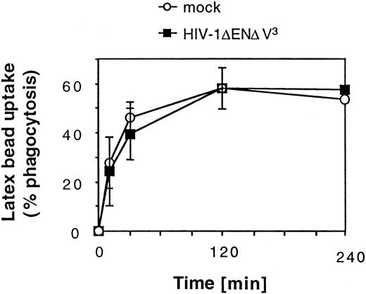 Fig. 4. Effect of HIV-1ΔEN V3 transduction on large particle uptake by immature DCs. / Immature DCs were transduced by HIV-1ΔEN V3 as described in the legend to Figure 2. Transduced as well as untransduced DCs were incubated with red fluorescent latex beads and analyzed after varying lengths of time by FACS. Background due to nonspecific binding of latex beads to DCs was determined by incubating sodium azide-treated DCs with latex beads. This value was subtracted from the data shown. Mean ± SD of at least 2 experiments are shown.