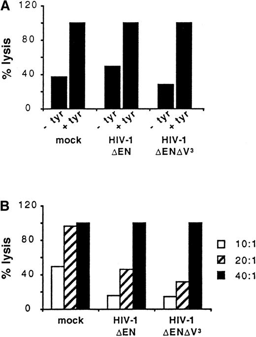 Fig. 6. Antigen-presentation by transduced DCs. / Untransduced DCs (mock) and DCs transduced with either HIV-1ΔEN or HIV-1ΔEN V3 were loaded with (+ tyr) or without (−tyr) the tyrosinase cytotoxic T-cell epitope and subsequently co-incubated with a CD8+ tyrosinase peptide-specific T-cell line at the E:T ratio of 40:1 (A). Tyrosinase-specific lysis of the 3 preparations of DCs, as determined by a standard chromium (51Cr) release assay, is dependent on the E:T ratio used (B). Data are from one representative experiment of 2.