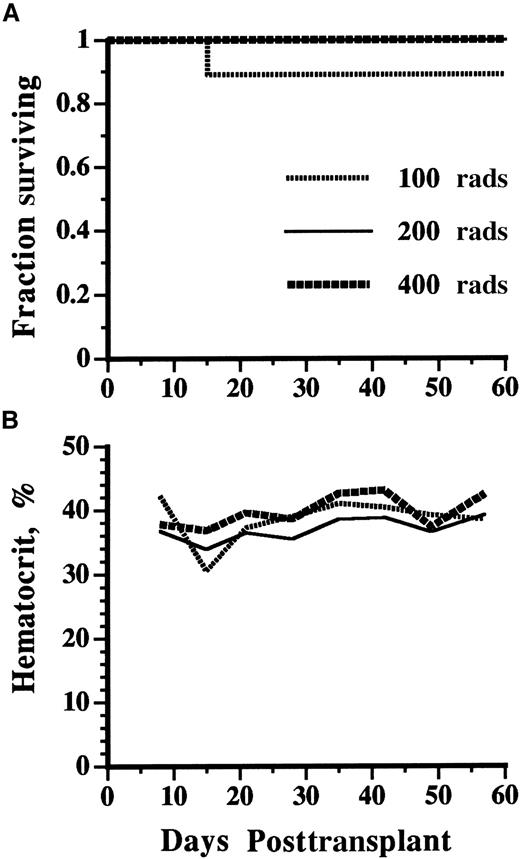 Fig. 1. Methotrexate resistance of sublethally irradiated mice transplanted with DHFR transgenic marrow. / Normal male mice were given 1, 2, or 4 Gy TBI one day before they underwent transplantation with 1 × 107 marrow cells from female line 04 (Tg04) DHFR transgenic donors. They were then administered either PBS or MTX (up to 4 mg/kg) daily for 60 days (n = 10 for each group). (A) Kaplan–Meier plot showing the fraction of surviving mice per time in the MTX- administered groups. (B) Mean weekly hematocrit of surviving mice in the MTX-administered groups at each time point.