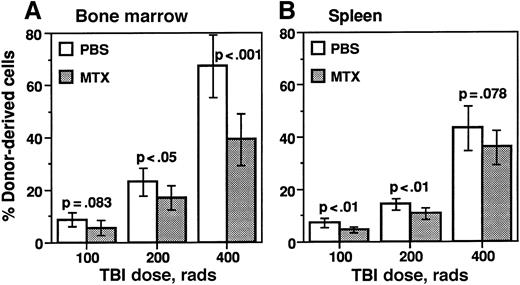 Fig. 2. TBI dose-dependent engraftment of transgenic marrow cells in sublethally irradiated BMT recipients. / Survivors from Figure 1 were killed 120 days after transplantation. Genomic DNA was isolated from bone marrow and spleen and subjected to quantitative Southern analysis as described in “Materials and Methods” (see Figure 4A for an example of the Southern hybridization signals used to quantitate DHFR transgenic cell engraftment levels). Values are presented as mean ± SD of between 5 and 9 samples. Results of statistical analyses between PBS- and MTX-administered animals are given as P values, displayed above each pair of groups.