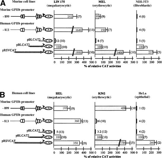 Fig. 2. Comparison of the transcriptional activities of the murine and human GPIIb promoter fragments, in murine (A) and human (B) cell lines. / Murine and human GPIIb promoters (−899/+33 and −813/+33, respectively) were cloned upstream of CAT gene in pBLCAT3 plasmid and transfected in different cell lines. The pRSVCAT plasmid containing the CAT gene driven by the RSV promoter was used as a positive control, and the promoter less pBLCAT3 plasmid was used to assess background level. In each assay, the pRSV-luciferase plasmid was cotransfected as an internal control of transfection. Cellular extracts were prepared 48 hours after transfection, and the CAT assays were normalized according to the luciferase activity of each extract. The CAT values were expressed relatively to the pBLCAT2 plasmid, containing the CAT gene driven by the ubiquitous TK promoter, which was taken as the 100% value to compare CAT activity between cell lines, and were presented in bar graph. Each value is the average of a number of independent experiments indicated in parentheses. (A) Transfection experiments in murine cell lines: LIN-175 (megakaryocytic), MEL (erythrocytic), and NIH-3T3 (fibroblastic). (B) Transfection experiments in human cell lines: HEL (megakaryocytic), K562 (erythrocytic), and HeLa (epithelial).