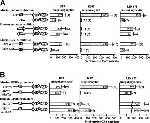 Fig. 3. Role of the enhancer and GATA elements in the human and murine promoter activities. / Transcriptional activities were analyzed in HEL, K562, and LIN-175 cell lines as described in Figure 2. (A) The murine −538 and −396 GPIIb promoter constructs, extending from −538 and −396 to +32 respectively, were first analyzed. The human −598/−406 enhancer fragment generated by PCR and sequenced was inserted in direct or reverse orientation upstream from the murine −396 GPIIb promoter fragment. A disrupting mutation was introduced into the murine −456 GATA site of the murine −899 GPIIb promoter construct. Activity of this mutated promoter (−899 mG*) was compared with that of the wild-type (−899 WT) murine promoter. (B) The murine chimeric (−899* hGATA) construct with hGATA region (open box) and the human 813 chimeric (−813* mGATA) construct with mGATA region (gray-filled box) were transfected in HEL, K562, and LIN-175 cells. CAT activities are compared with that of the wild-type murine and human GPIIb promoter constructs as described in Figure 2.
