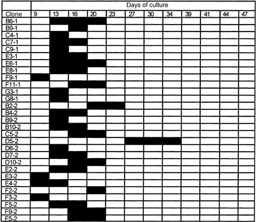 Fig. 2. The proliferative fate of individual Sca-1+c-kit+Lin− bone marrow cells from young B6 mice. / A total of 120 individual cells were analyzed for CAFC potential, of which 29 (here shown) started to proliferate within a period of 50 days. Black bars indicate the timepoints at which cobblestone areas were detected. Clone numbers refer to the address of wells in which cell growth was observed.