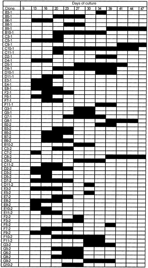 Fig. 3. The proliferative fate of individual Sca-1+c-kit+Lin−cells from young DBA mice. / A total of 120 individual cells were analyzed for CAFC potential, of which 64 (shown here) started to proliferate within a period of 50 days. Black bars indicate the timepoints at which cobblestone areas were detected. Clone numbers refer to the address of wells in which cell growth was observed.