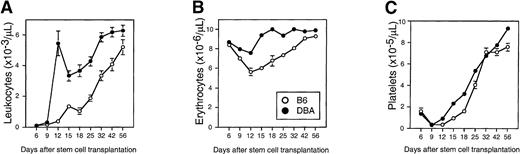 Fig. 4. Differential engraftment kinetics of enriched stem cells isolated from B6 or DBA mice. / Sca-1+c-kit+Lin− bone marrow cells were sorted from B6 (open circles) or DBA (closed circles) marrow and transplanted into lethally irradiated Ly-5 congenic (B6.SJL) or syngeneic DBA recipients, respectively (1000 cells per mouse). Peripheral blood leukocytes (panel A), erythrocytes (panel B), and platelets (panel C) were counted on the indicated days. Shown are the mean ± SEM number of blood cells for pooled data from 2 independent experiments comprising a total of 21 (B6) or 33 (DBA) mice. Error bars not shown are too small for the scale used. DBA values are significantly greater than B6 values (P < .01) at all times after day 9 (day 6 for red cells), except for platelets on day 32. Normal blood counts for B6 and DBA mice, respectively, are leukocytes, 6 to 9 × 103 and 4 to 7 × 103; erythrocytes, 9 to 11 × 106 and 7 to 10 × 106; platelets, 11 to 14 × 105, and 10 to 11 × 105.