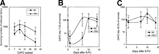 Fig. 5. Progenitor and stem cell pool size after administration of 5-FU to B6 and DBA mice. / Panel A depicts the absolute number of CAFC day 7, day 14, day 21, and day 35 per femur that remain viable 24 hours after 5-FU treatment. Panel B and C show recovery kinetics expressed as percentage of normal values of respectivily marrow CAFC day 7 and day 35 numbers after administration of 5-FU. Normal values for B6 and DBA mice, respectively, are CAFC day-7, 20 to 25 × 103 and 14 to 18 × 103; CAFC day-35, 250 to 300 and 600 to 800. Error bars indicate 95% confidence intervals.