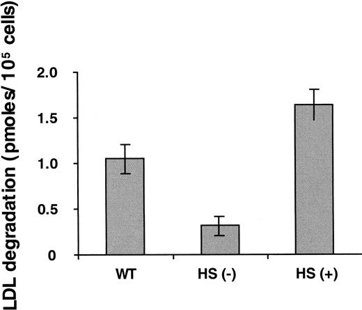 Fig. 6. Degradation of defensin/LDL: role of heparan sulfate–containing proteoglycans. / Experiments were performed as described in Figure 4. The 4-hour time point is shown. HS (−) refers to CHO cells selectively deficient in heparan sulfate. HS (+) refers to syndecan-1–expressing CHO cells. The mean ± SEM of 3 experiments is shown.