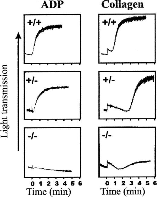 Fig. 4. Aggregation response of platelets derived from αIIb+/+, αIIb+/−, and αIIb−/− mice. / Platelets diluted with PBS at a final concentration ranging from 0.5 to 1 × 108 in 336 μL were mixed with 14 μL CaCl2 (1 mmol/L final) and placed in an aggregometer (Chrono-log) at 37°C. Aggregation was initiated by the addition of 18.5 μL ADP (final concentration, 10 μmol/L) or 39 μL collagen (final concentration, 0.2 mg/mL) from Sigma (diagnostic kit for aggregation). Aggregation was monitored by recording the increase in light transmittance as a function of time.
