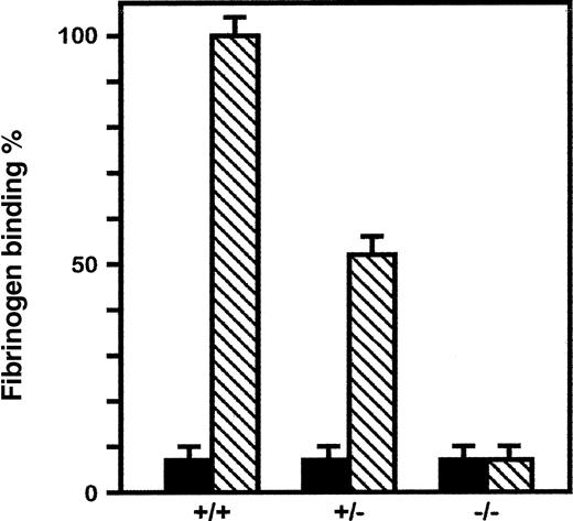 Fig. 5. Differences in fibrinogen binding of platelet suspensions prepared from wild-type (+/+), heterozygous (+/−), and homozygous (−/−) mice. / Filled boxes represent nonstimulated platelets, and striped boxes represent platelets stimulated with 10 μmol/L ADP. Platelets were incubated with 40 μg/mL labeled fibrinogen for 25 minutes at 22°C. Results represent specific fibrinogen binding. Nonspecific binding was evaluated on separate mice because of the scarcity of the platelet sample drawn from each animal.