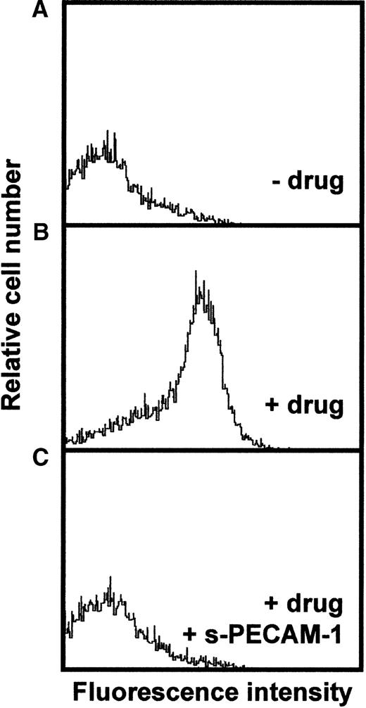 Fig. 3. Analysis of carbimazole-dependent antibodies by flow cytometry. / Fixed platelets were incubated with patient sera in the absence of the drug (A), in the presence of the drug (B), and in the presence of the drug and soluble r-PECAM-1 (C). Bound antibodies were detected with FITC-labeled rabbit anti-human IgG and were analyzed on flow cytometer.