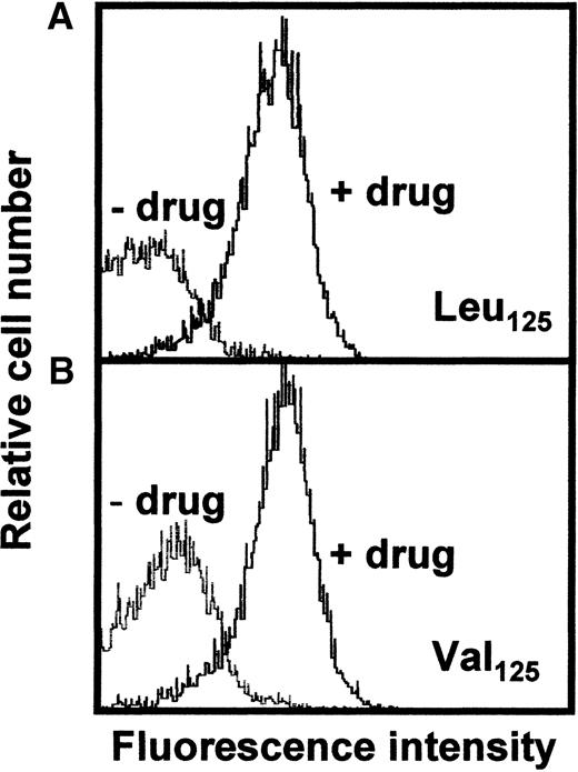 Fig. 6. Flow cytometric analysis of platelets with different PECAM-1 isoforms. / Fixed platelets derived from individuals carrying PECAM-1 Leu125 (A) or Val125 (B) isoforms were analyzed with patient sera in the presence or in the absence of the drug (see Figure 3).