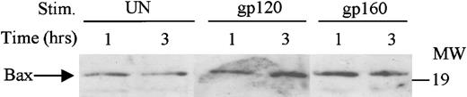 Fig. 6. Induction of Bax expression by HIV-1 gp120/160 treatment. / Cell lysates (100 μg) from HUVEC, prepared as described in “Materials and methods,” untreated or treated with gp120 or gp160 (100 ng/mL) for 1 hour or 3 hours, were resolved on 15% SDS-PAGE and blotted with anti-Bax antibody.