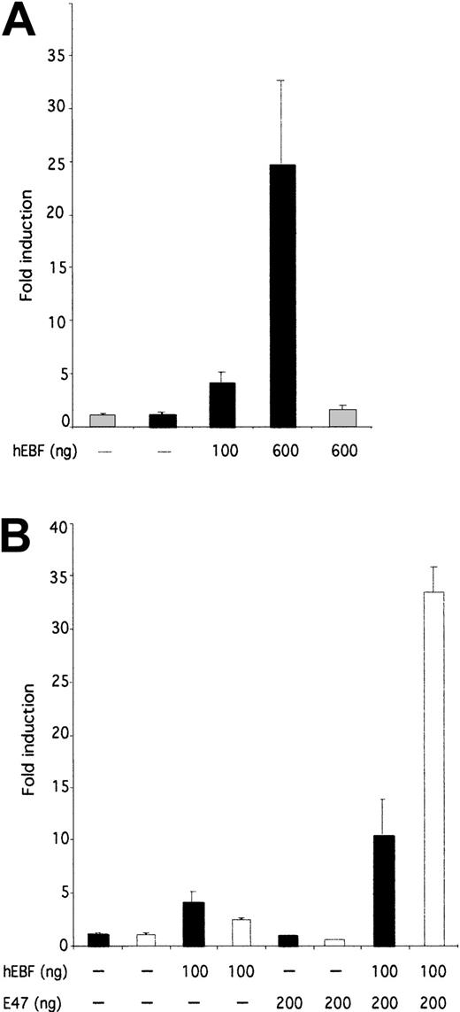Fig. 7. hEBF and E47 collaborate to induce functional activity of the 14.1 promoter. / (A) The relative luciferase activity after transient transfection of 250 ng of a 14.1 promoter-controlled reporter gene into epitheloid HeLa cells together with increasing amounts (100 or 600 ng) of hEBF expression plasmid (black bars). The gray bars indicate the activity of the fos promoter-controlled reporter construct. (B) Induction of either a 14.1 black bars or λ5white bars promoter-controlled luciferase reporter gene after transfection with either empty, hEBF-, E47-, or the combination of EBF- and E47-encoding expression plasmids, as indicated. The data in both panels were collected from 4 transfections in which the amount of DNA was normalized by the addition of empty expression plasmid (cDNA3). Error bars indicate standard deviation.